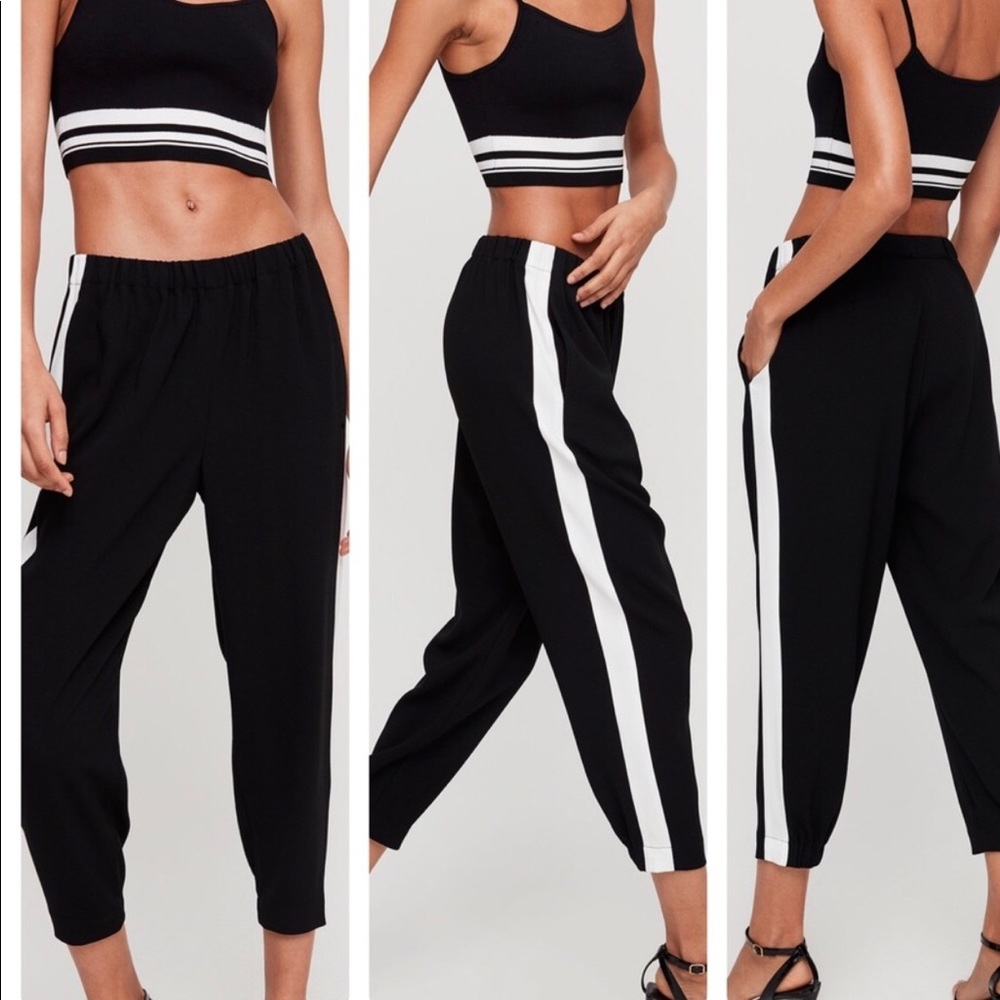 Aritzia Babaton Dexter Pants
